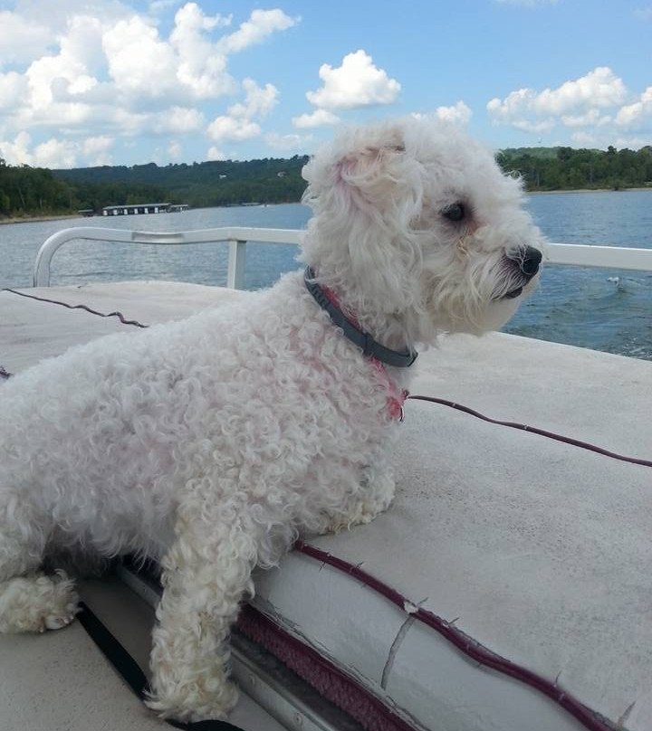 Harper Valley Resort主图