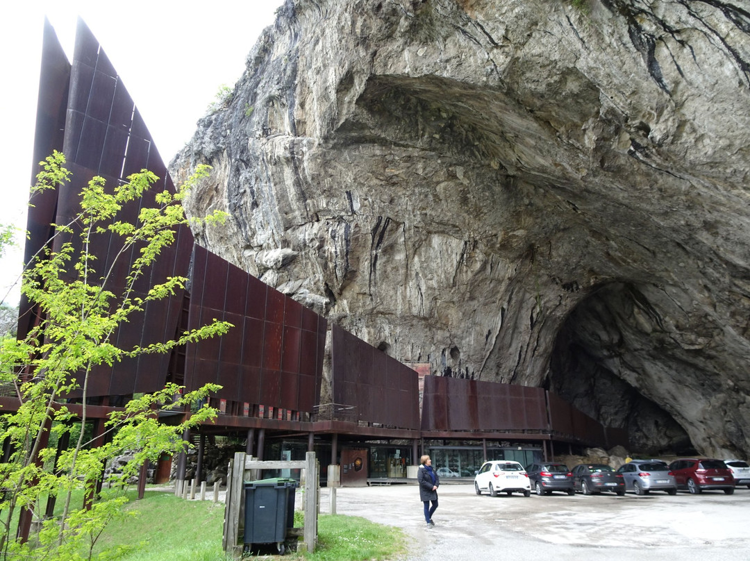 Grotte de Niaux景点图片