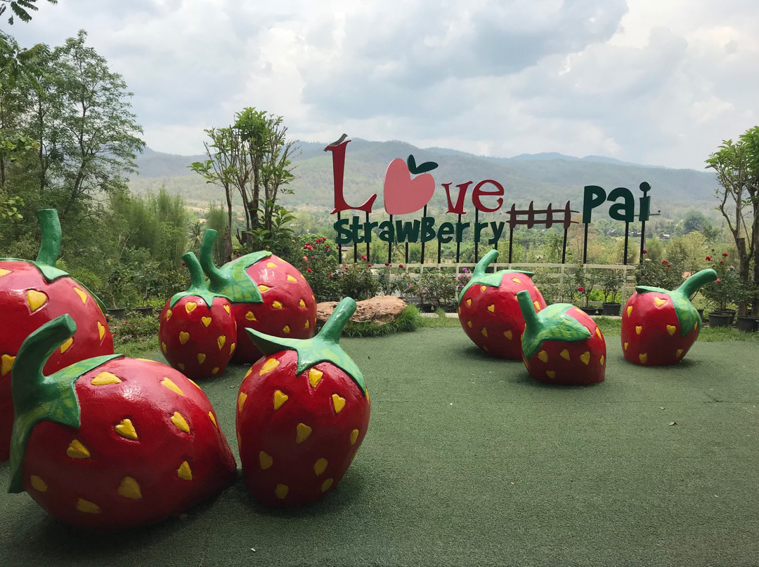 Love Strawberry Pai景点图片