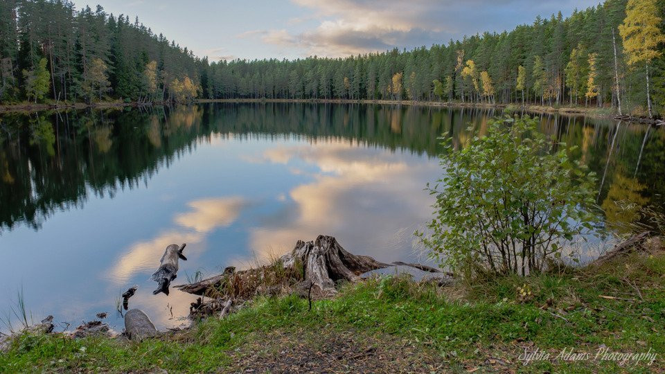 Amazing Nature Scandinavia景点图片