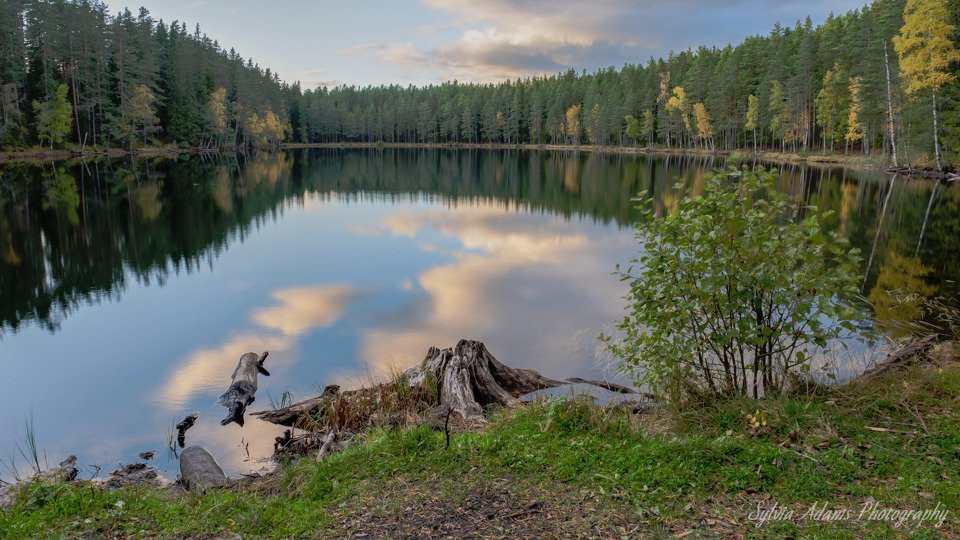 Amazing Nature Scandinavia-Fagersta必去景点
