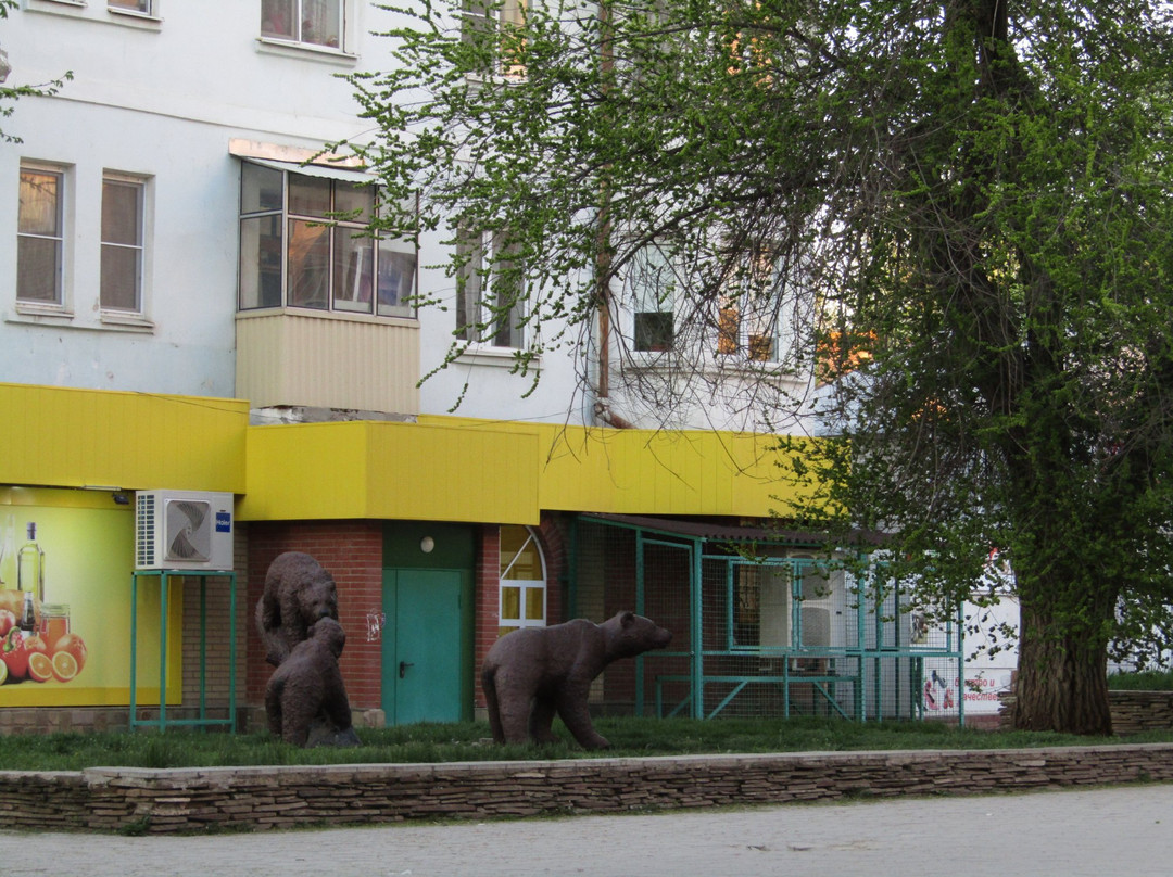 Chistoozernyy旅游攻略图片