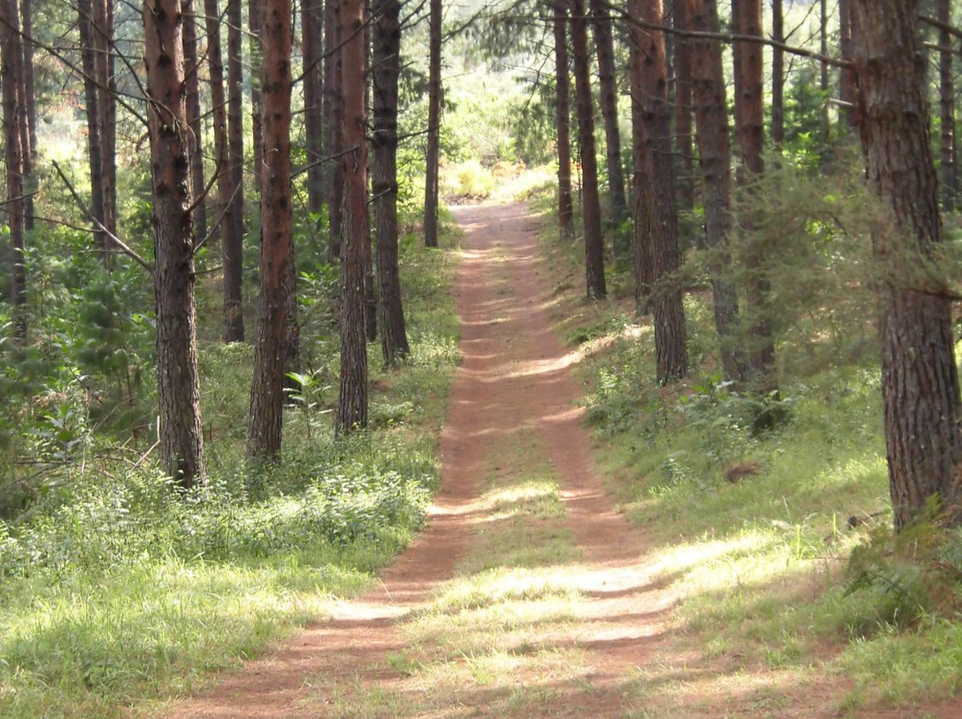 Zwakala River Retreat主图