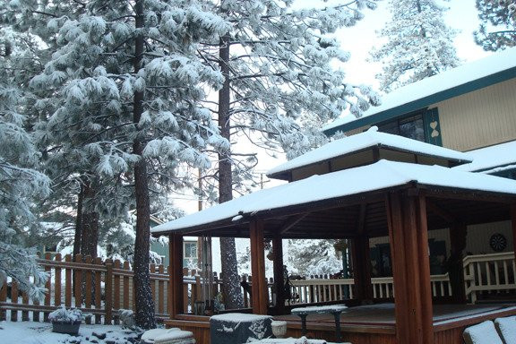 The Old Bear Bed and Breakfast主图