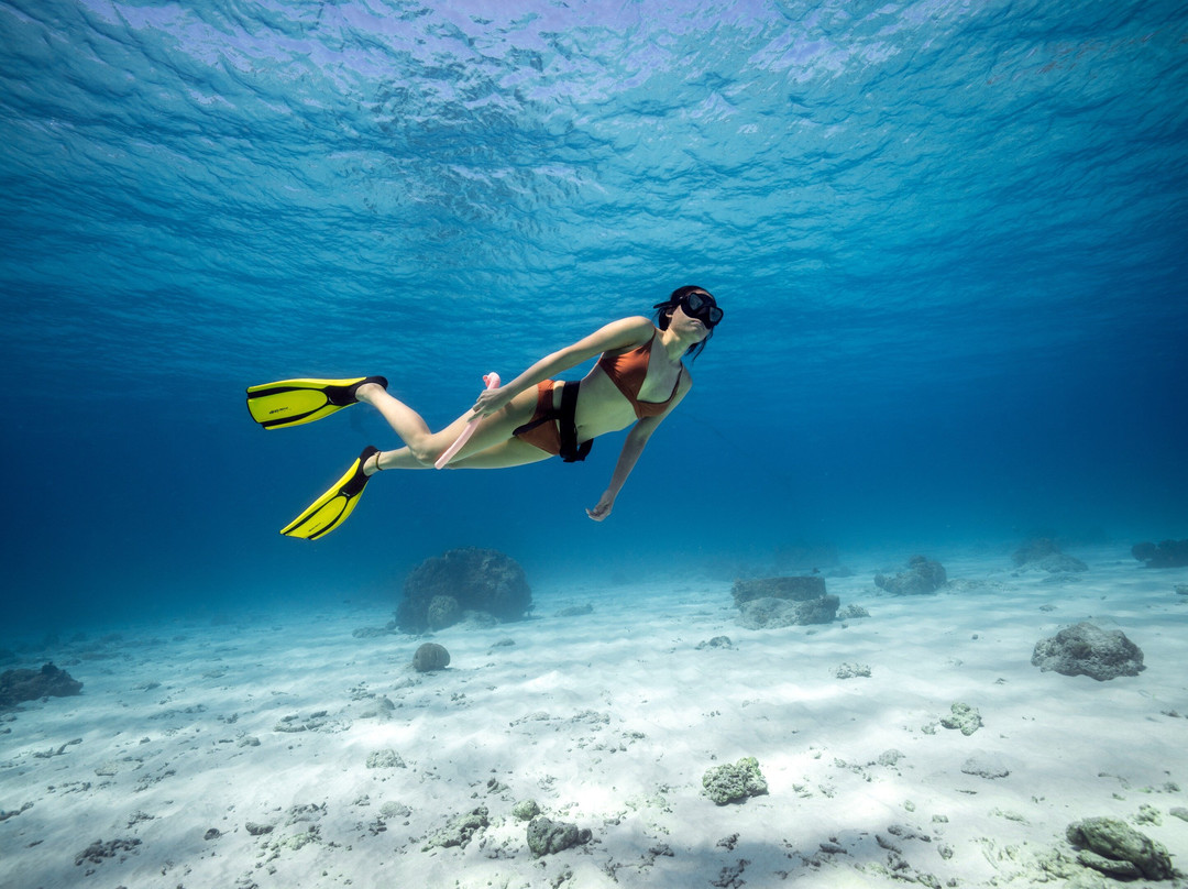 Orenda Freediving-涛岛必去景点