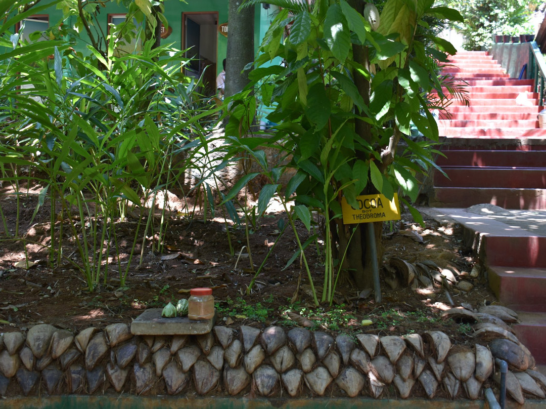 Green Land Spice Garden-康提必去景点