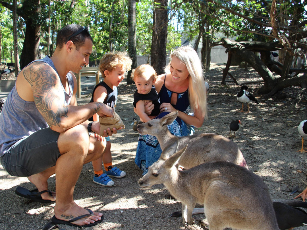 Wildlife Habitat Port Douglas景点图片