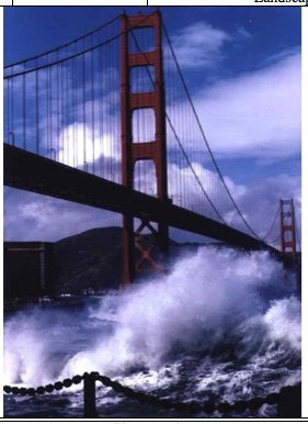 Sausalito Bike Rentals景点图片