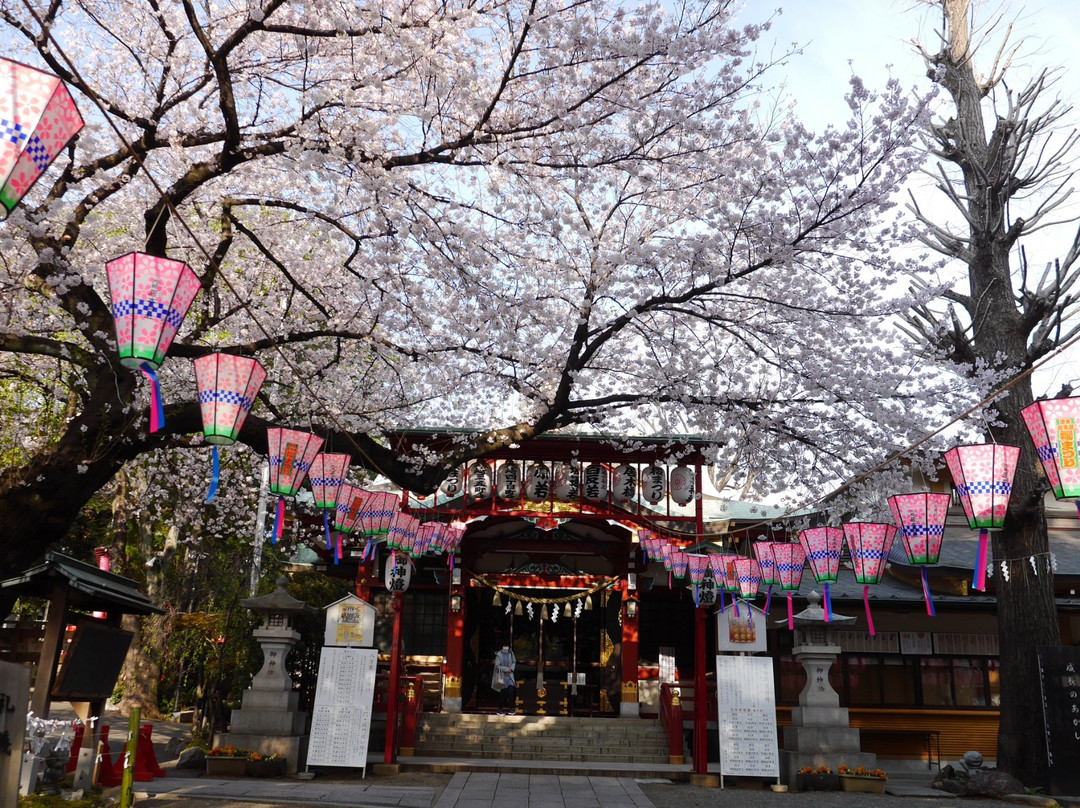 Osaki旅游攻略图片