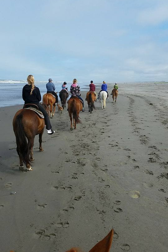 West Coast Horse Rides景点图片