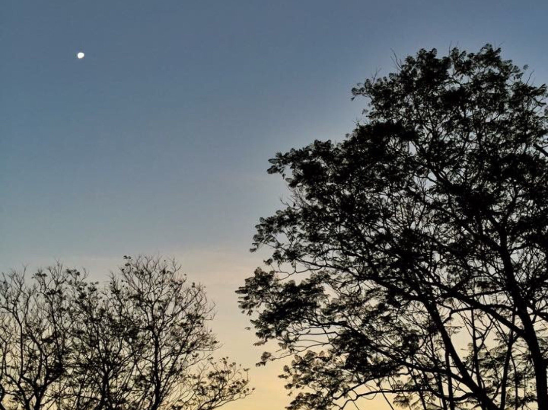 Biweda Nguni B&B主图