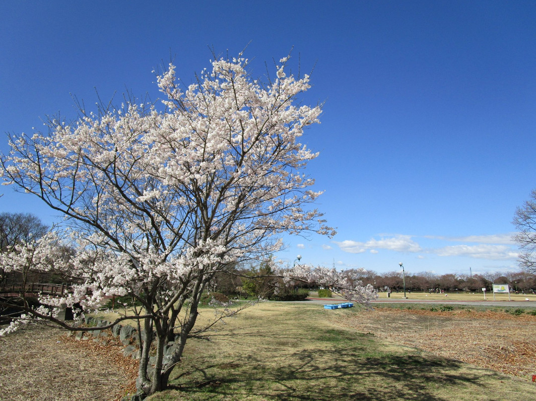 Beppunuma Park-熊谷市必去景点