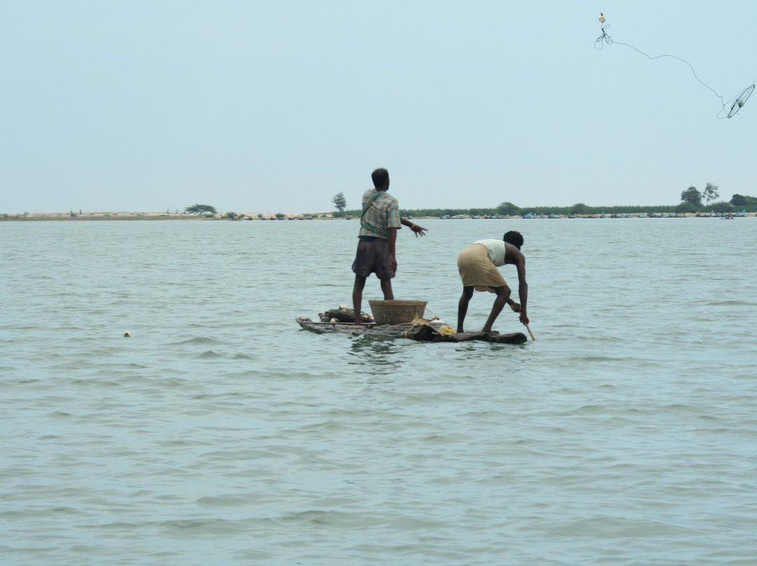 Pulicat Lake景点图片