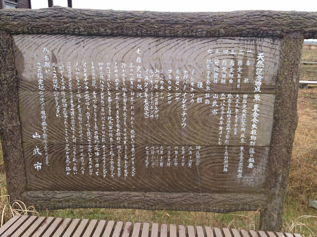 Carnivorous plant habitat in Togane, Naruto-山武市必去景点