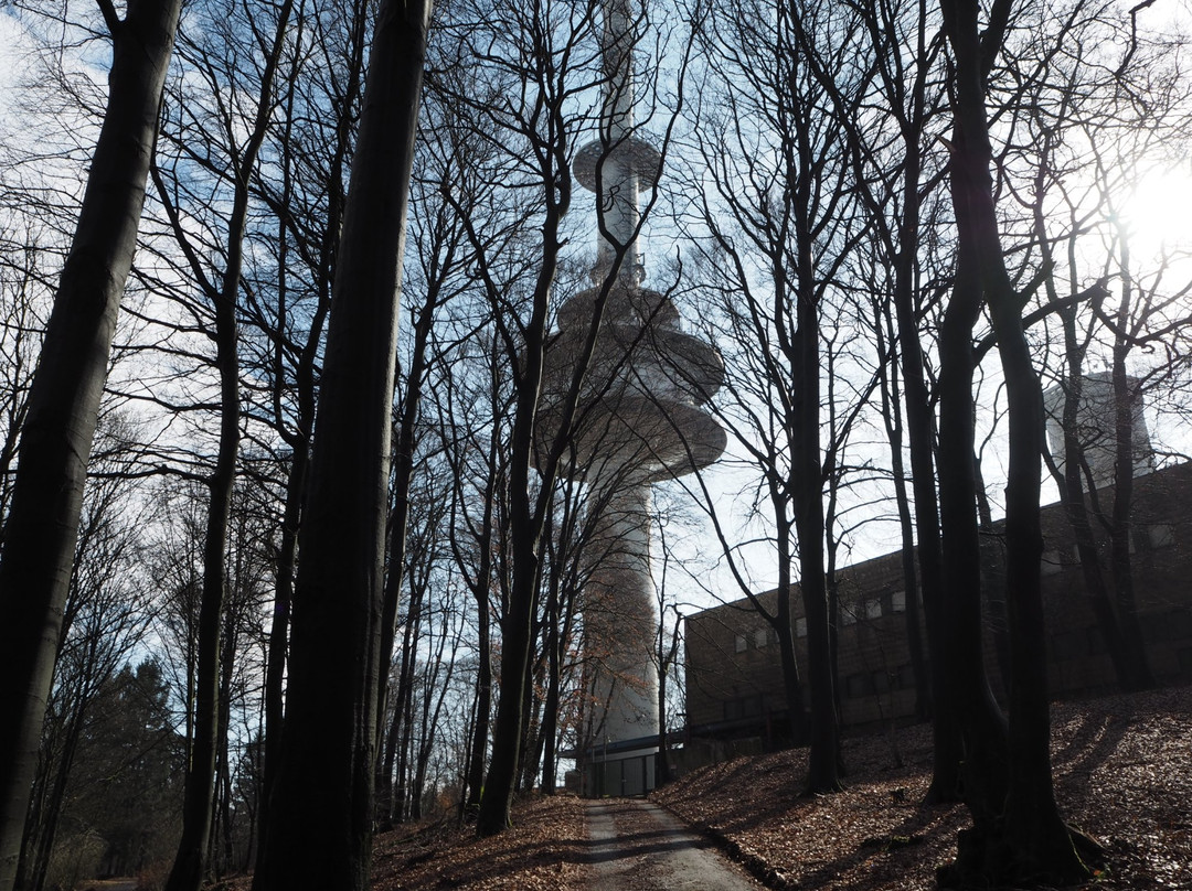 Fernmeldeturm Hünenburg-比勒费尔德必去景点