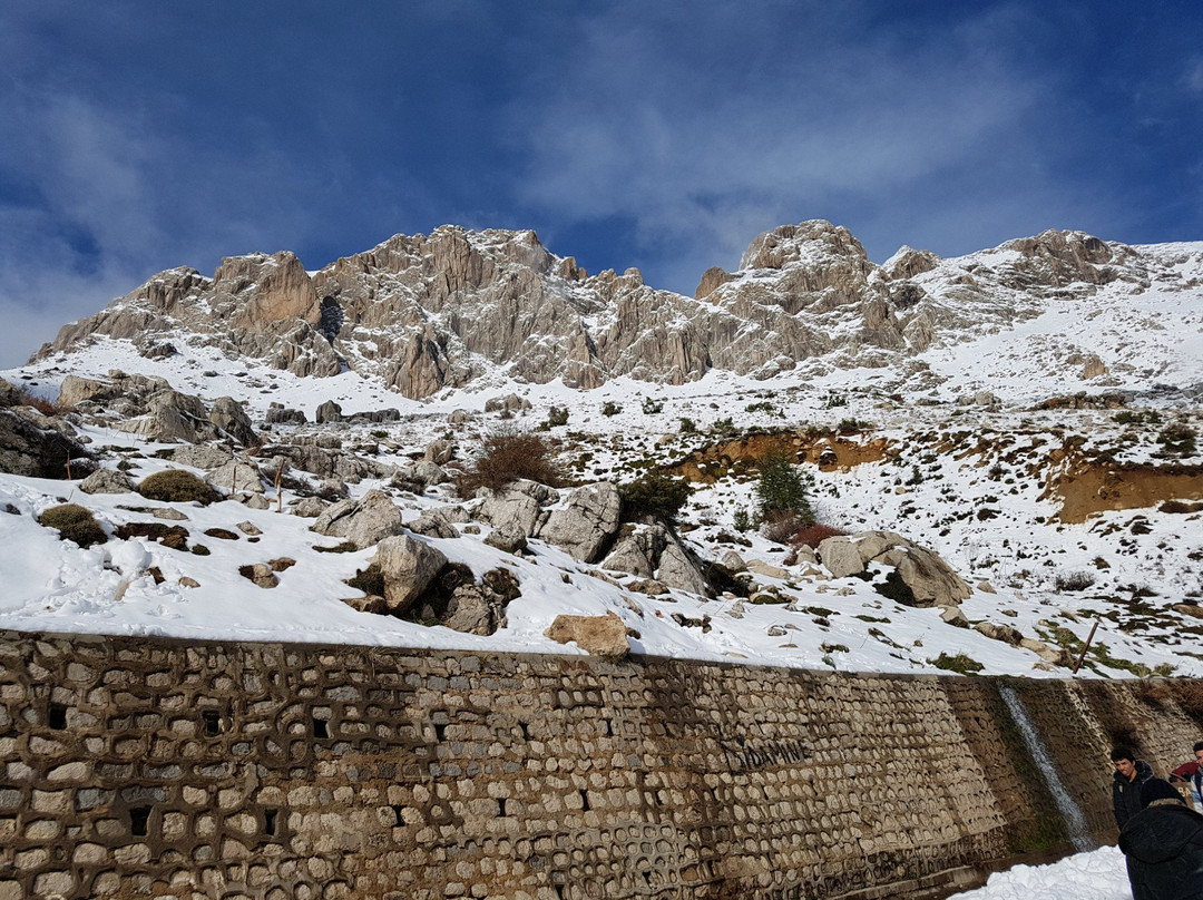Tikjda National Park景点图片