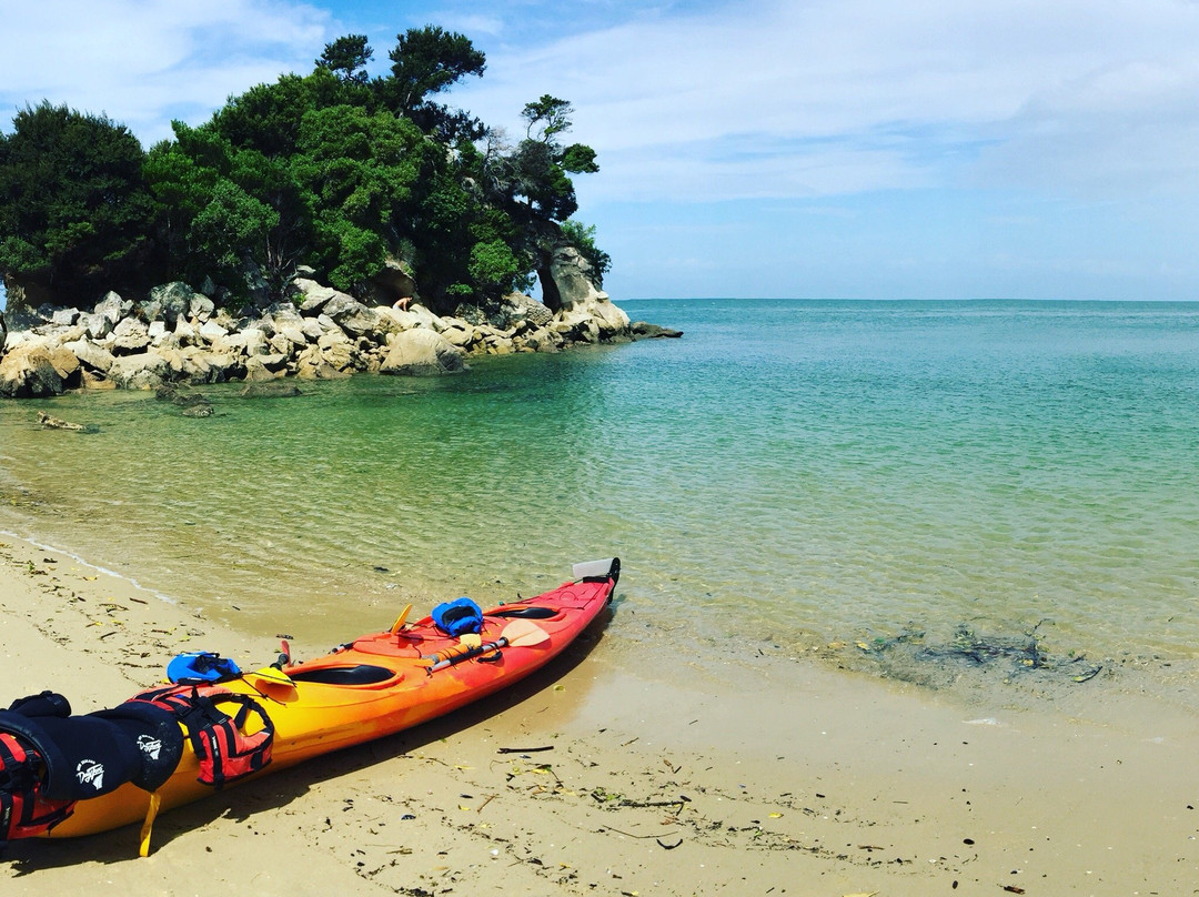 Tasman Bay Sea Kayaking Adventures-Abel Tasman National Park必去景点