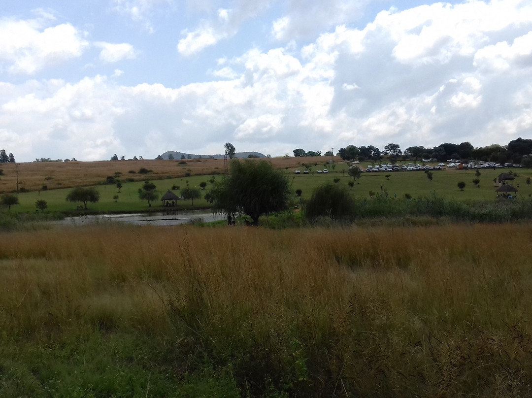 Walkhaven Dog Park-约翰内斯堡必去景点