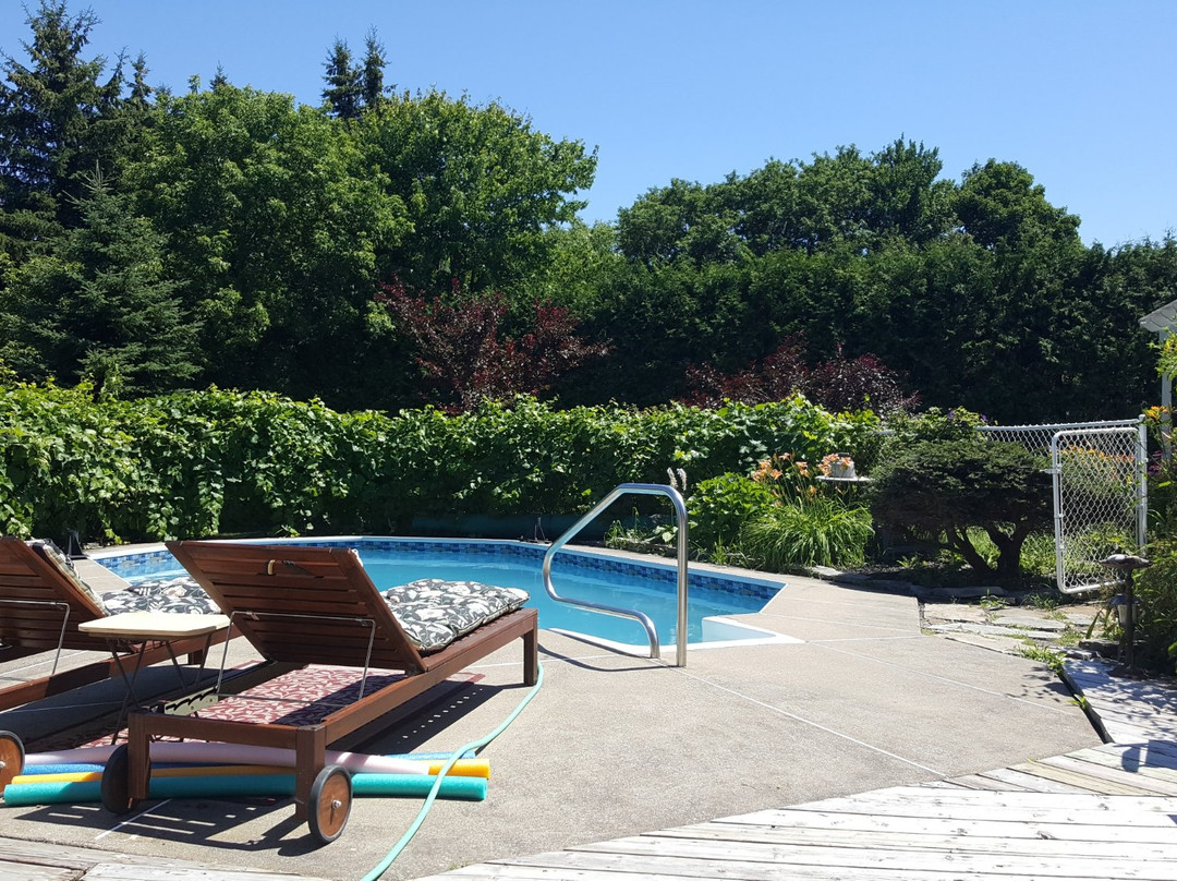 Atelier Galerie Anne Drouin Peinture & Pension主图