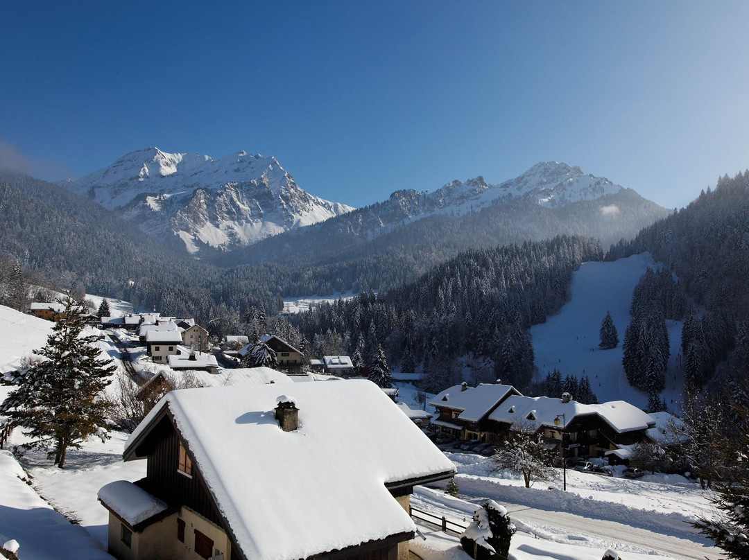 Office de Tourisme des Alpes du Leman景点图片