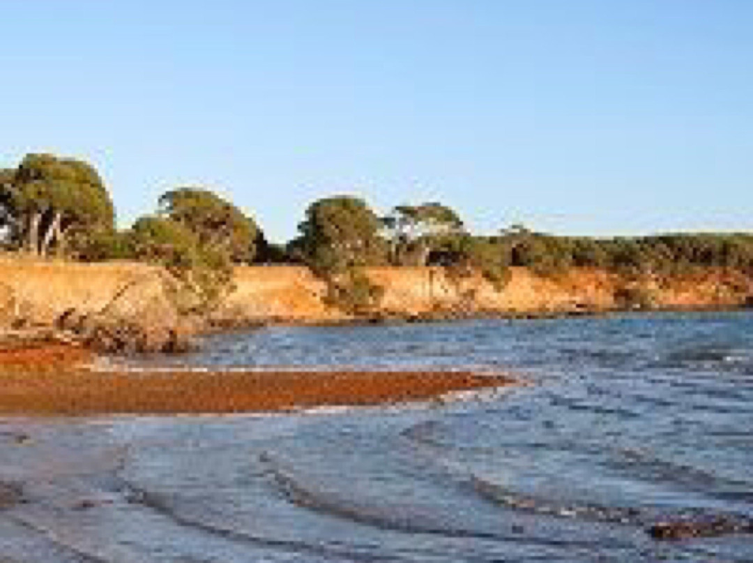 Scenic Estate Conservation Reserve-菲利普岛必去景点