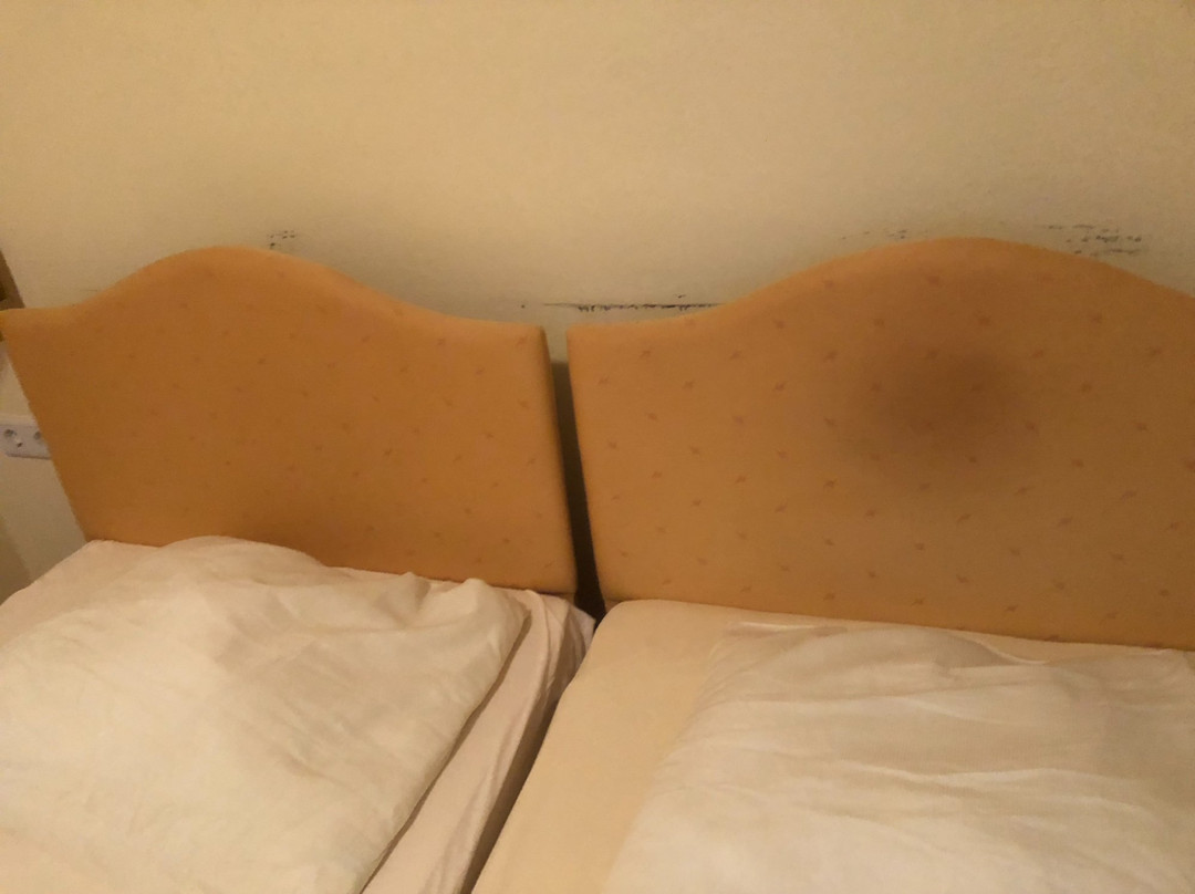 Hotel am Wallgraben主图