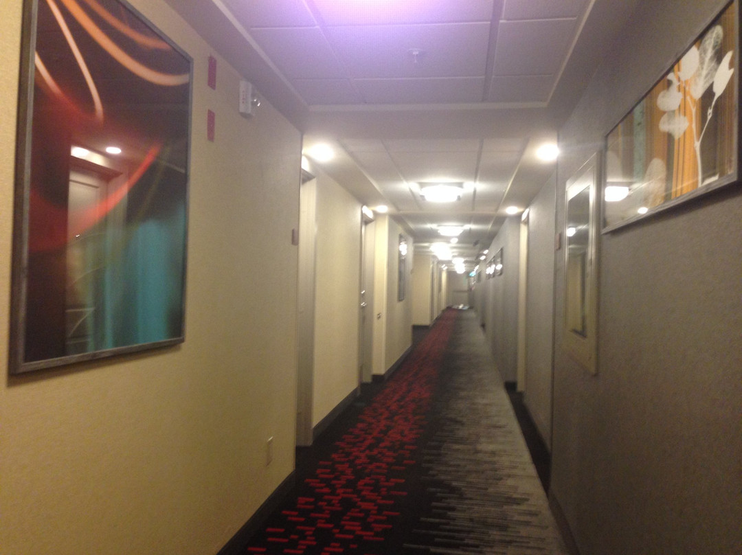 TownePlace Suites Windsor主图