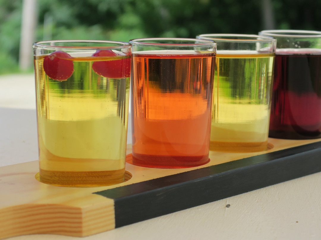 Vista of Maine Vineyard & Cidery Tasting Room-Greene必去景点