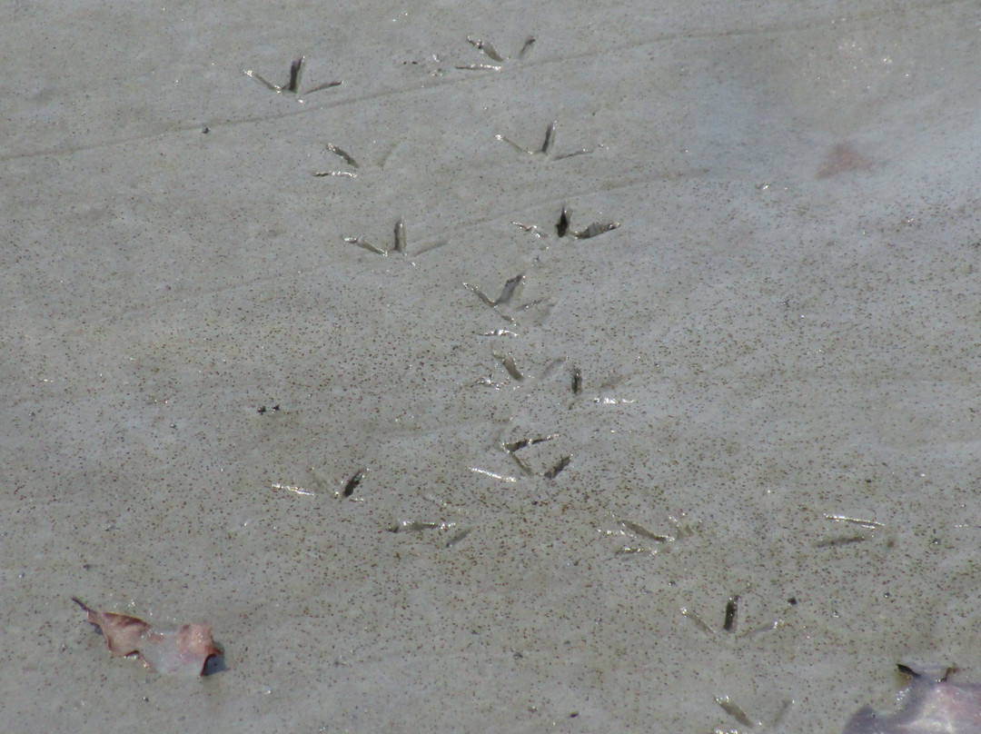 Akanda National Park-利伯维尔必去景点