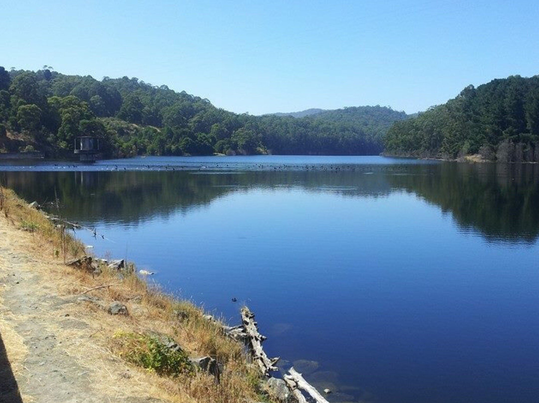 West barwon reservoir-Forrest必去景点