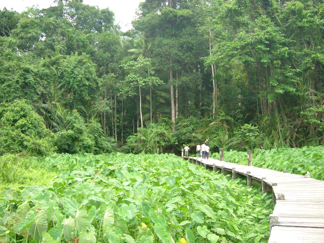 Thale Ban National Park景点图片