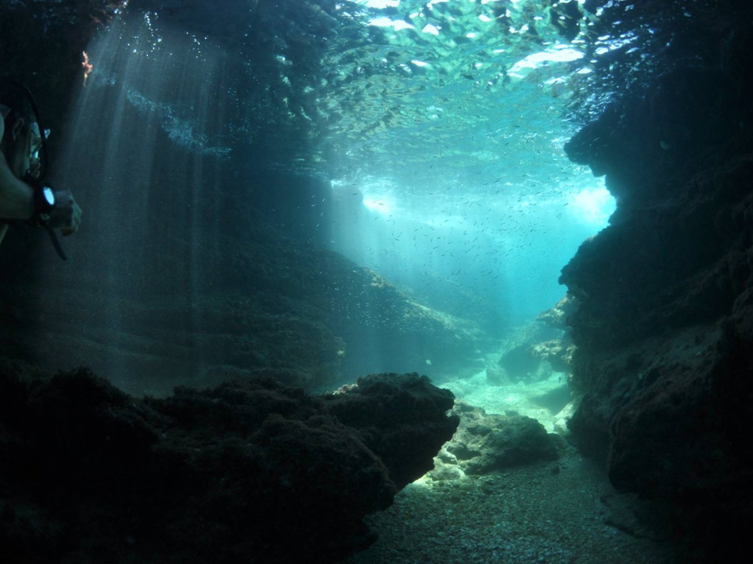 Out of the Blu-Modiin必去景点