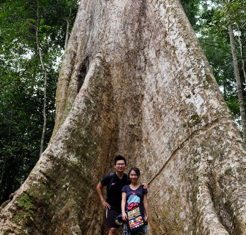 LokaLocal-彼咯必去景点