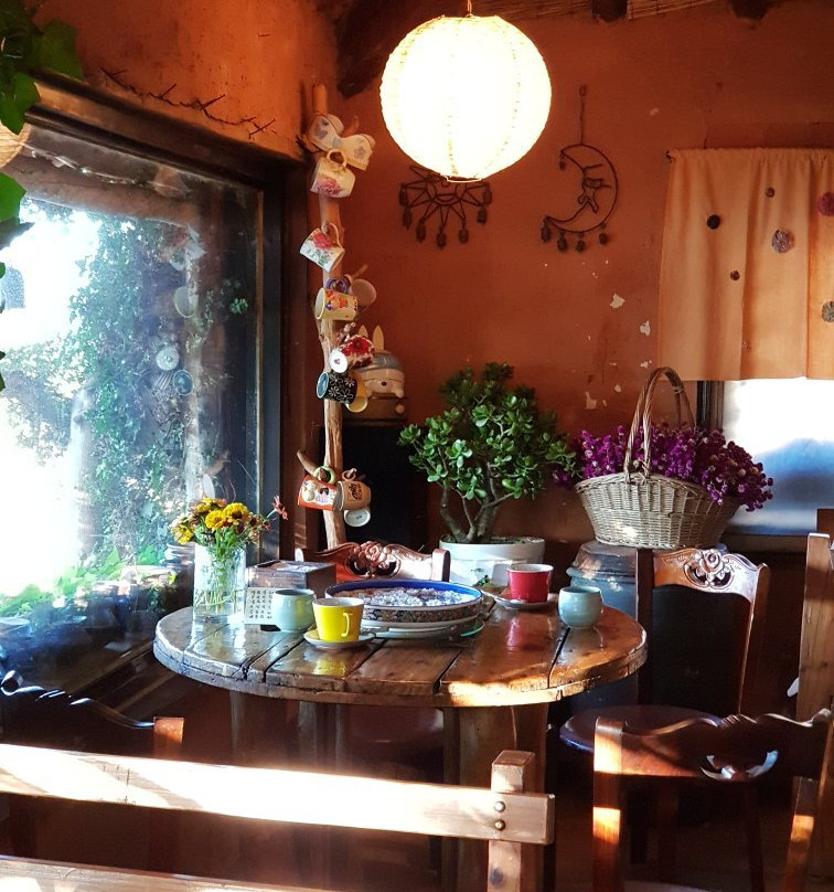 康津郡餐馆和美食-Dohyang Tradition Tea House