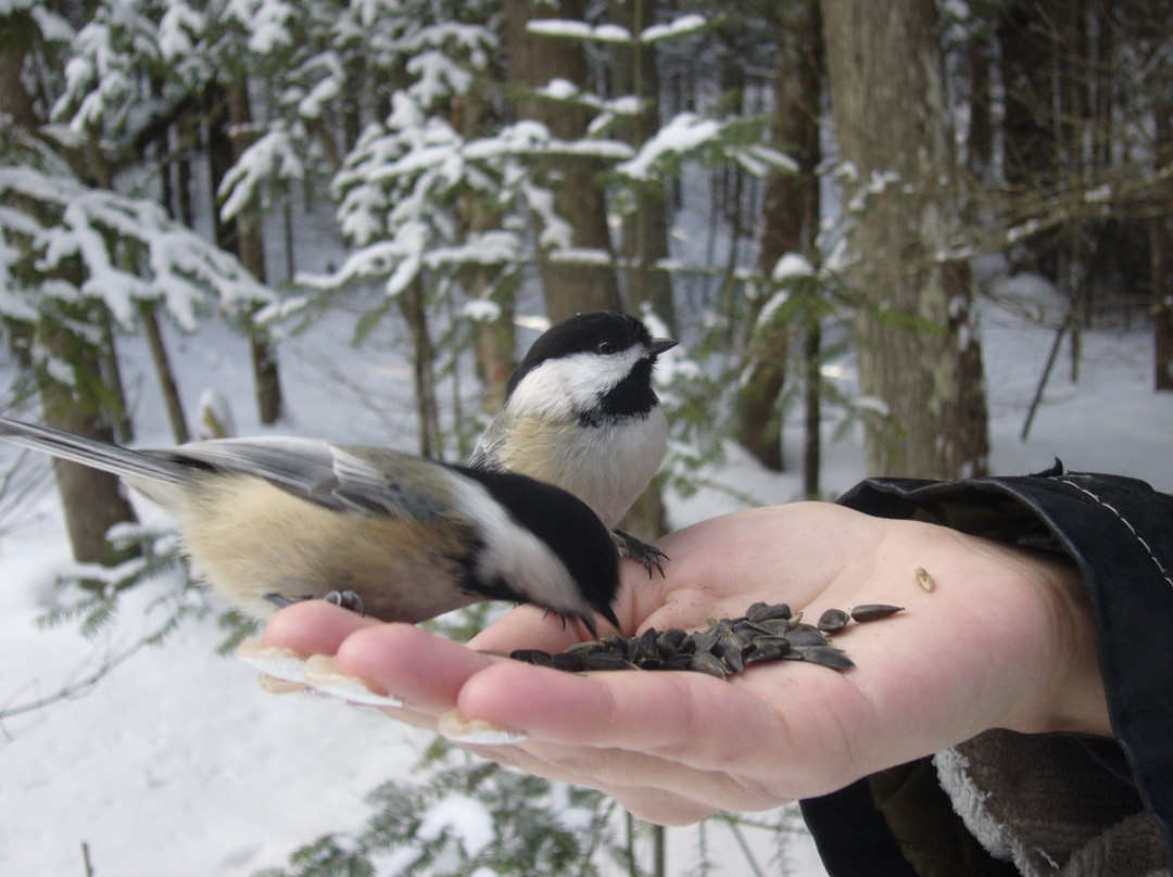 Domaine Saint Bernard-塔伯拉山必去景点