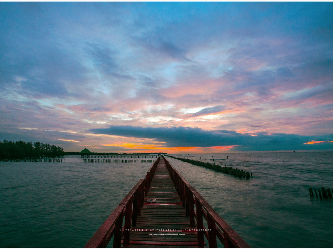 Dolphin Viewpoint-龙仔厝必去景点