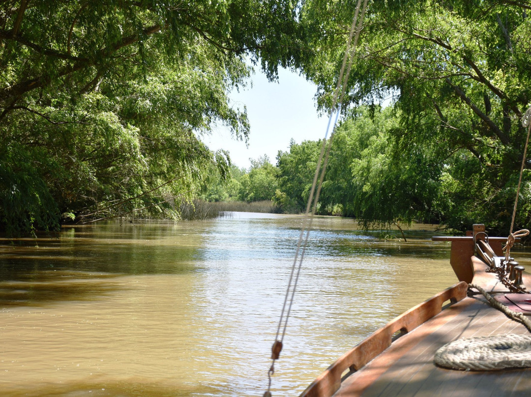 Delta Unplugged-蒂格雷必去景点