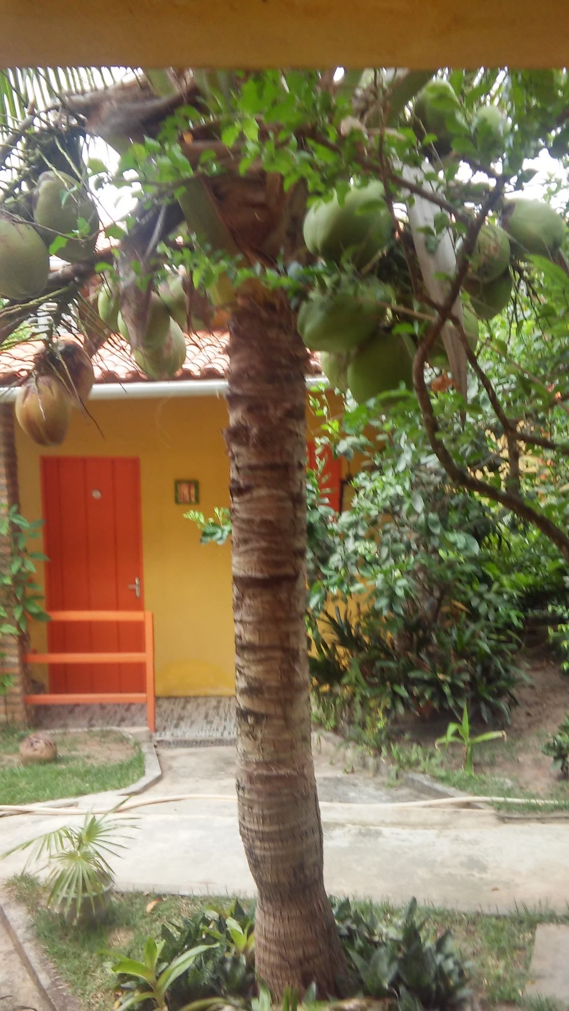Pousada São Francisco-官方