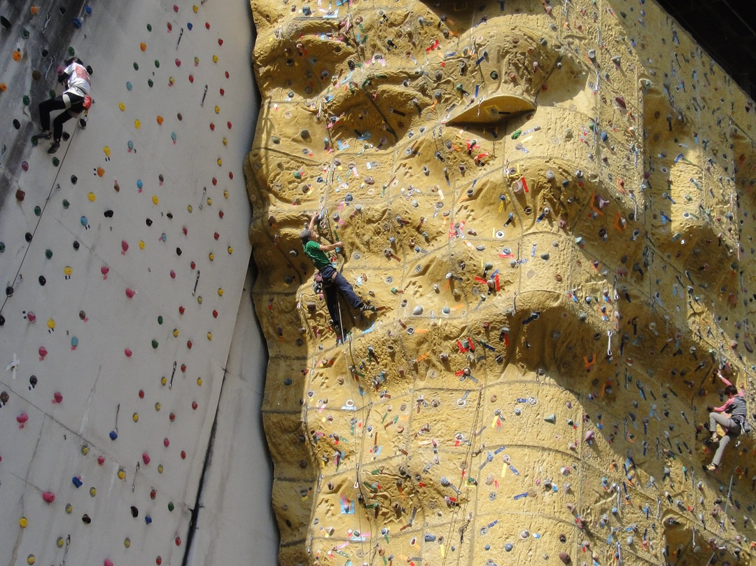 Hoshi no Buranko Bridge-交野市必去景点