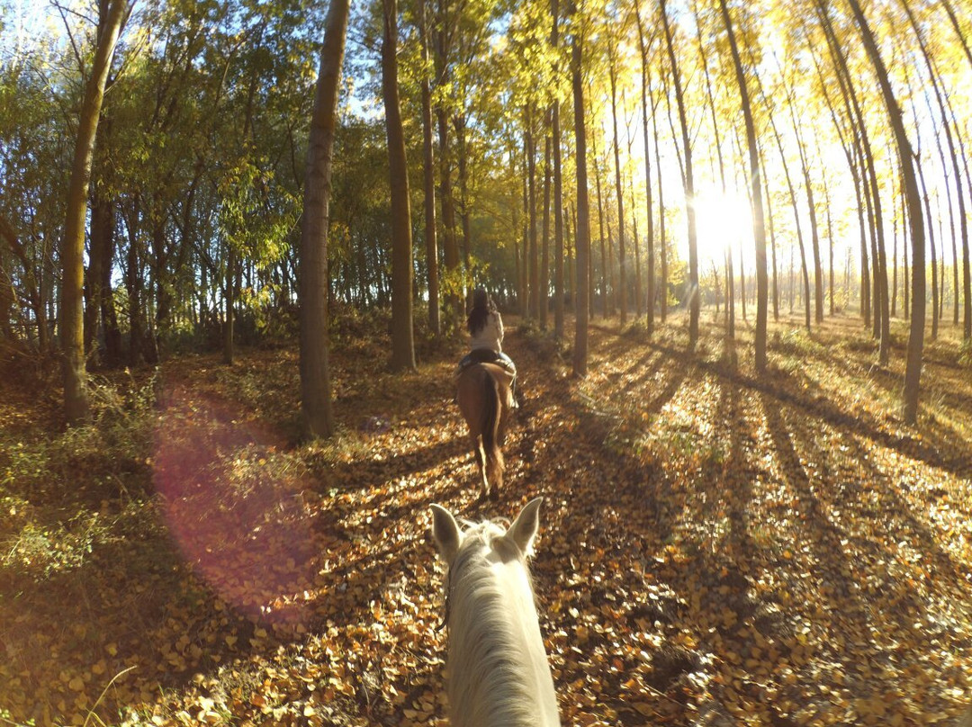 Huerta旅游攻略图片