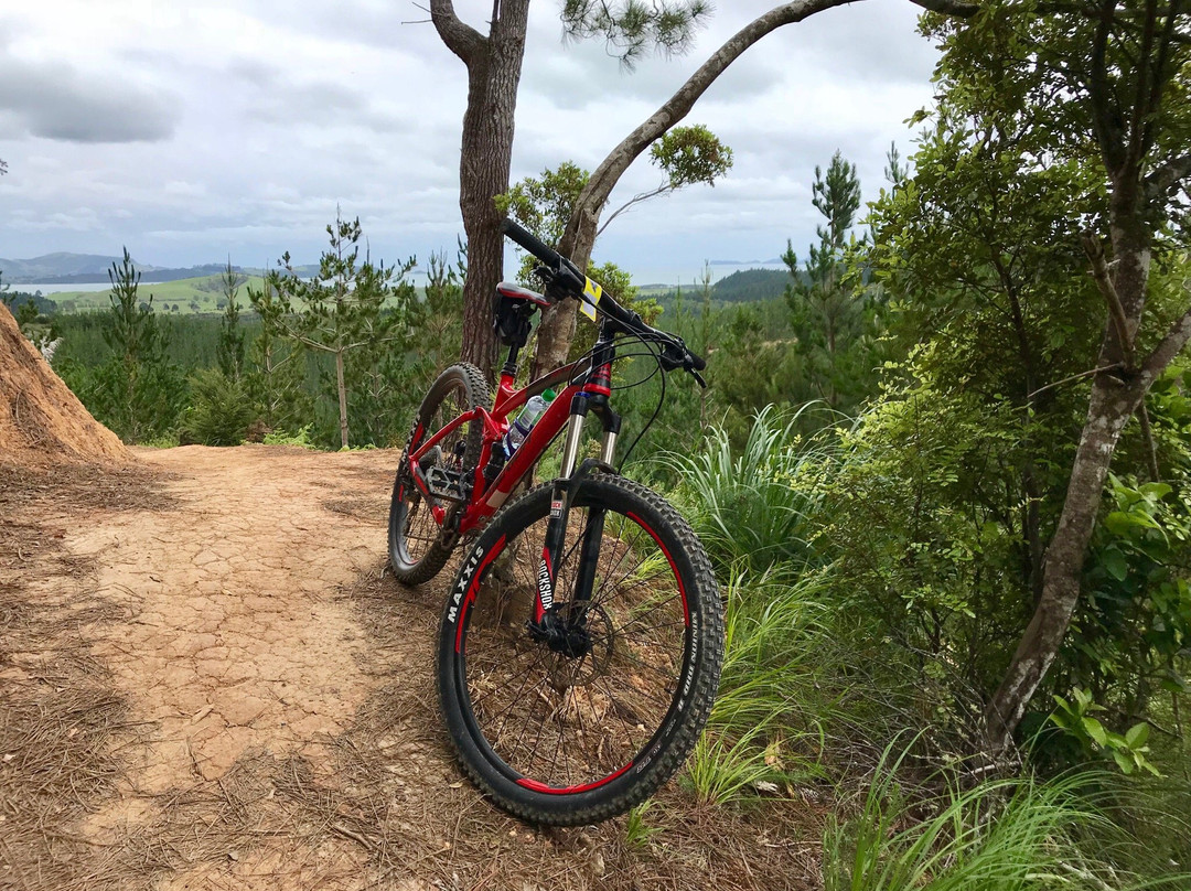 Paihia Mountain Bikes-Waitangi必去景点