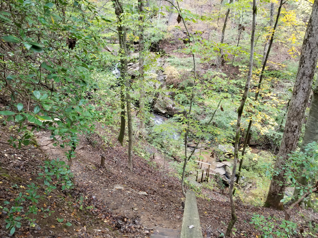 Waldrop Stone Falls-Central必去景点