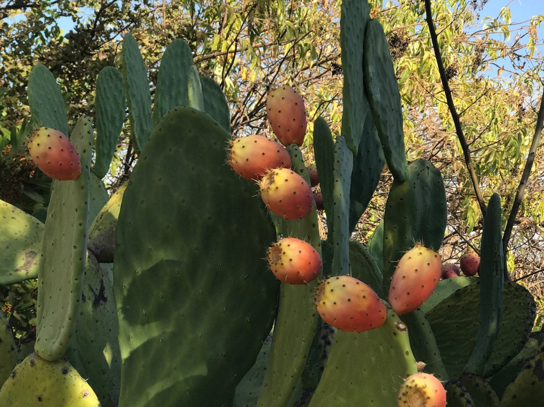 Museum on Main-普莱森顿必去景点