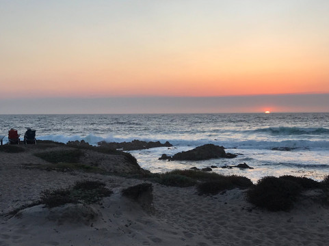 Dream Tours By-The-Sea-蒙特雷必去景点