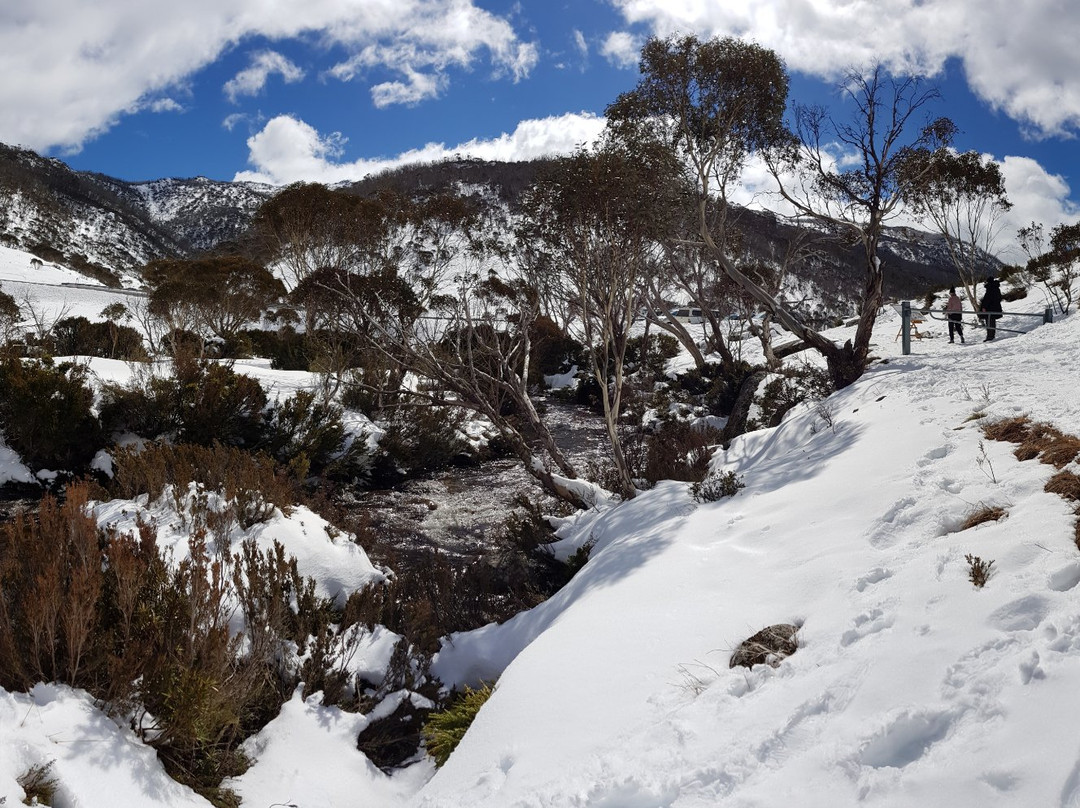 Cascades Trail景点图片