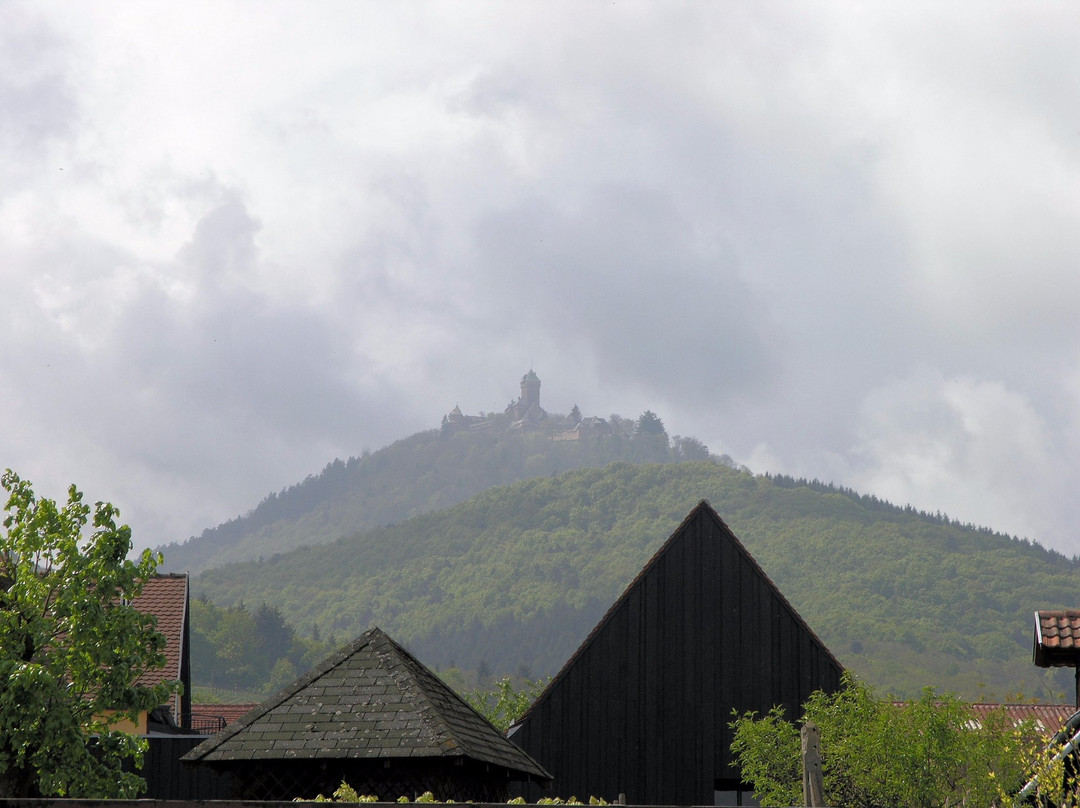 Domaine Allimant-Laugner景点图片