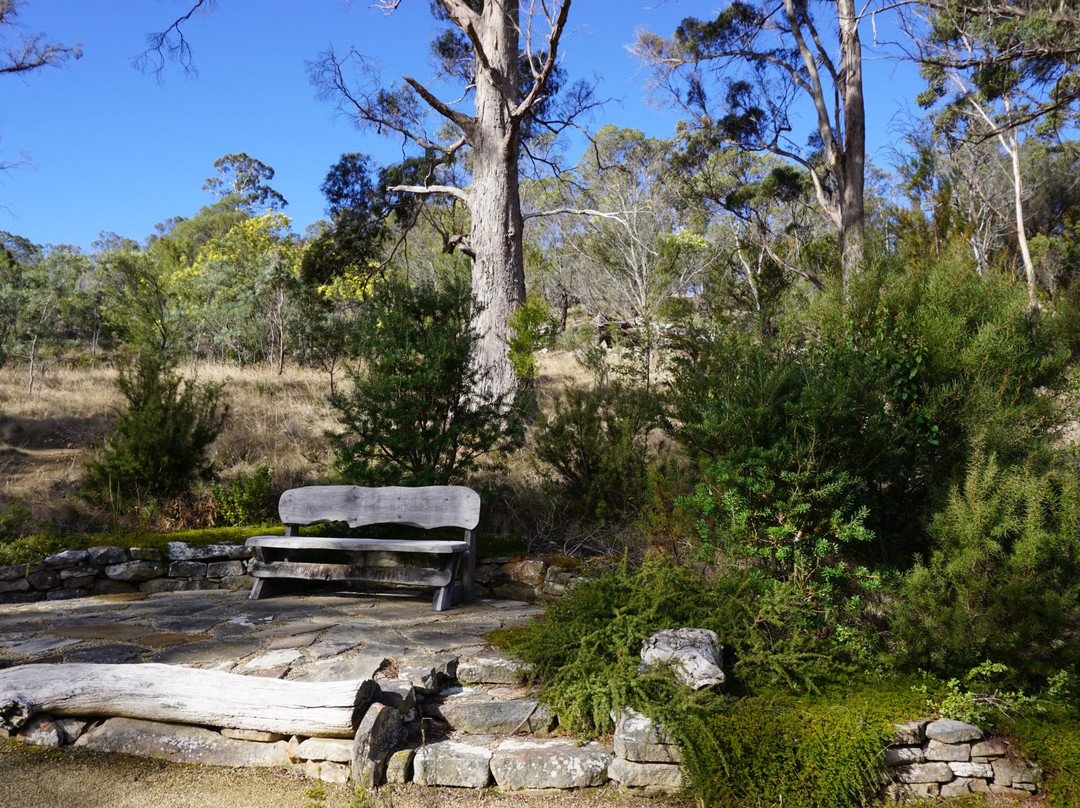 Tasmanian Bushland Garden景点图片