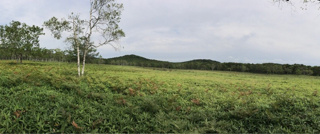 Tsurui Dosanko Farm-鹤居村必去景点