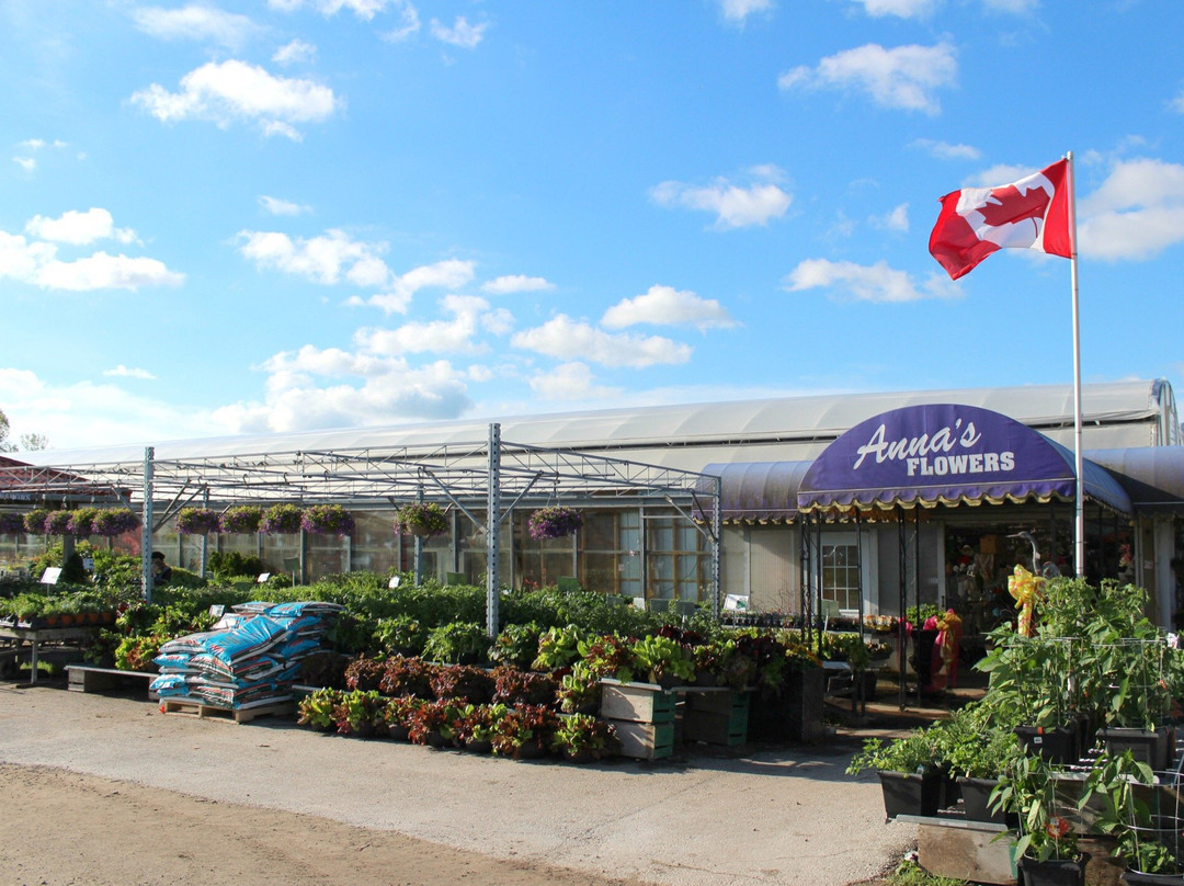 Anna's Garden, Home & Wellness-Kingsville必去景点