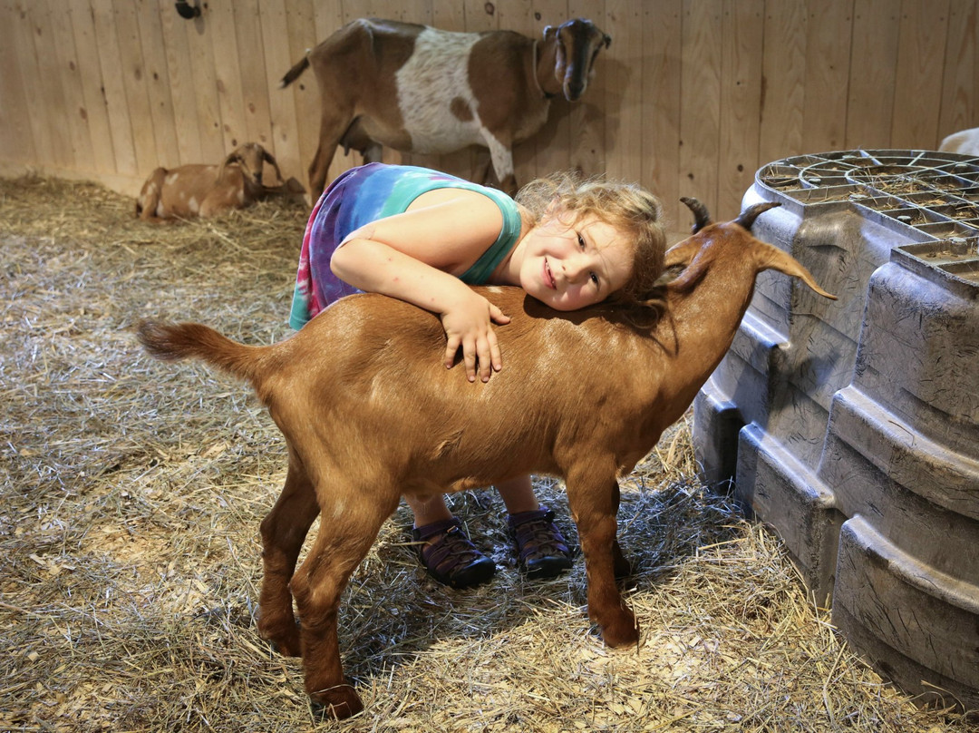 Retreat Farm-布拉特尔伯勒必去景点